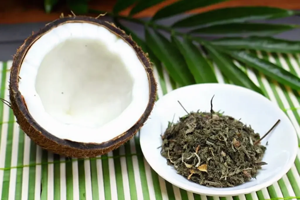 Coconut Milk Green Tea: Creamy, Healthy & Dairy-Free Recipes 6 Coconut and loose green tea leaves side by side for coconut milk green tea